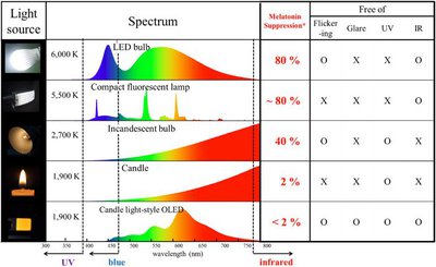 oled light.jpg