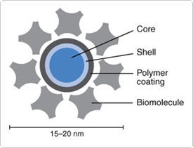 structure-qdot-nanocrystal.jpg